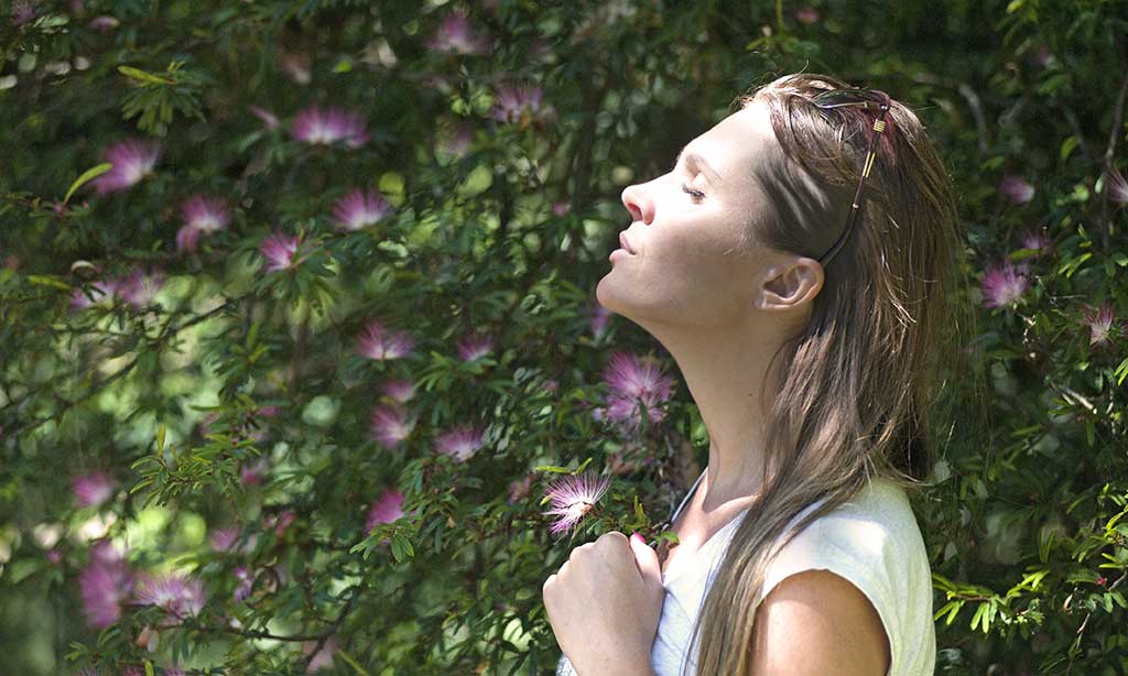Poczuj się wolnym w materii – Jezus Sananda