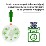 Zestawy - Powłoczka uziemiająca na poduszkę - obrazek 7
